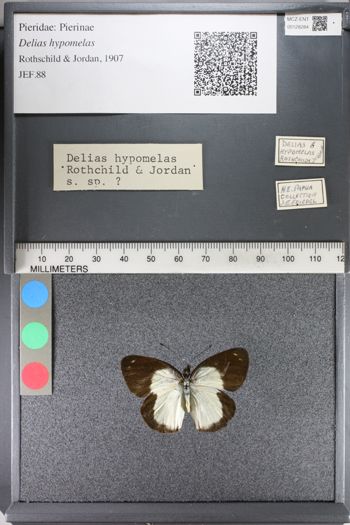 Media type: image;   Entomology 128284